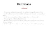 Batxilergoa1 Harremana