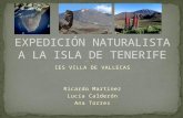 Expedición naturalista a la isla de tenerife