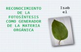 Reconocimiento de la fotosíntesis como generador de la materia orgánica.