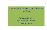 Presentacion micotoxinas ( power point)