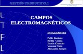 Campos electromagneticos