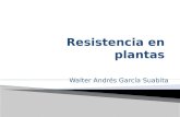Resistencia en plantas1.1