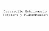 08 desarrollo embrionario y placentaci%f3n fina