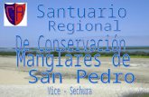 Visita a Sechura-Manglar de San Pedro- I.E.P Americano- 4º de secundaria