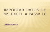 Importar datos de MS Excel a PASW 18