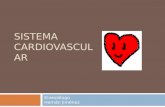 6.  sistema cardiovascular