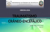 TCE medico-forense