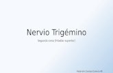 Nervio trigémino v2 (ramo maxilar superior)