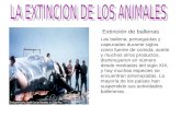 Extincion de los animales 1