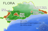 Flora de los Parques Naturales de Málaga