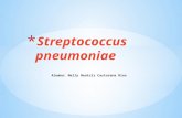 Stretococcus pneumoniae