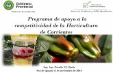 Natalia Ojeda - “Programa de apoyo a la competitividad de la Horticultura de Corrientes” - Boas Práticas Agropecuárias e Produção Integrada - De 11 a 14 de novembro de 2014,