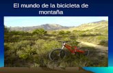 El mundo de las bicicletas de montaña