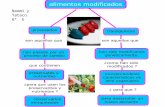 Mapas conceptuales de Alimentos modificados 6 E - Prof. Rosario Azpilcueta