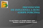 Prevencion influenza comunidad