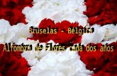 Bruselas flores