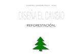 413. reforestación