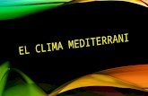 El clima mediterrani (2014 15) alberto, nayara i brian