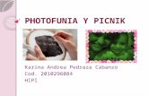 Photofunia y picnik