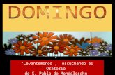 DOMINGO XIII, CICLO B