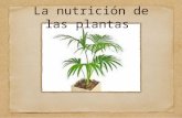 La nutrición de las plantas. Blanca