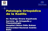 5348380 trauma-4-2-patologia-ortopedica-de-la-rodilla-1