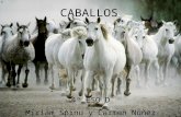11 Carmen NúñEz Y Miriam Spinu Caballos