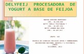 Delyfeij procesadora de_yogurt_a_base_de_feijoa