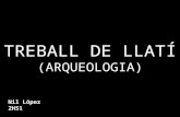 TREBALL DE LLATÍ ARQUEOLOGIA - NIL LÓPEZ