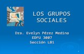 Grupos sociales