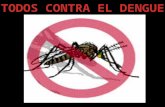 Luchemos contra El Dengue