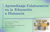 Aprendizaje Colaborativo en la Educación a Distancia