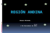 Region Andina