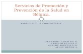 Servicios de promoción y prevención de la salud en bélgica.