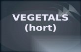 Vegetals (hort)