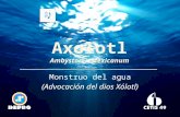 Cetis 49 "Axolotl" Rediseño de mascota