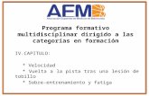 Programa formativo multidisciplinar dirigido a las categorías formación IV
