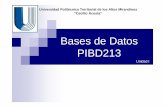 Presentacion bases de datos pibd213 unidad i