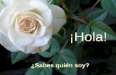 Hola Sabes Quien Soy