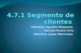 4.7.1 segmento de clientes