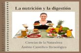 La nutrición y la digestión