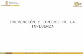 Prevención y control de la Influenza