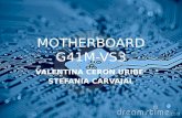 Motherboard g41 m vs3