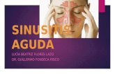 Sinusitis aguda. Lucía Flores Lazo. Dr. Guillermo Fonseca.
