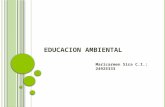 Education ambient