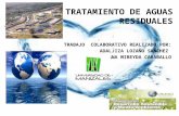 Trabajo colaborativo  andaliza lozano mireyda carballo_2013_ tratamiento de aguas residuales