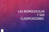 Las biomoleculas y sus clasificaciones