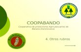 6.Otros rubros - COOPABANDO