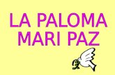 Paloma mari paz