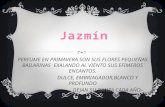 Jazmín- hija mia
